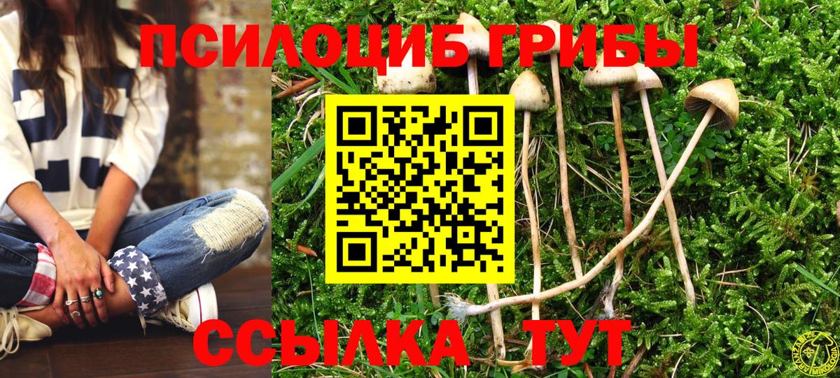 Горячий Ключ  Галлюциногенные грибы MAGIC MUSHROOMS  Вход с VPN 